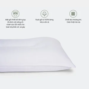 Ruột Gối Trẻ Em Thư Giãn Cổ - Hình ảnh 2