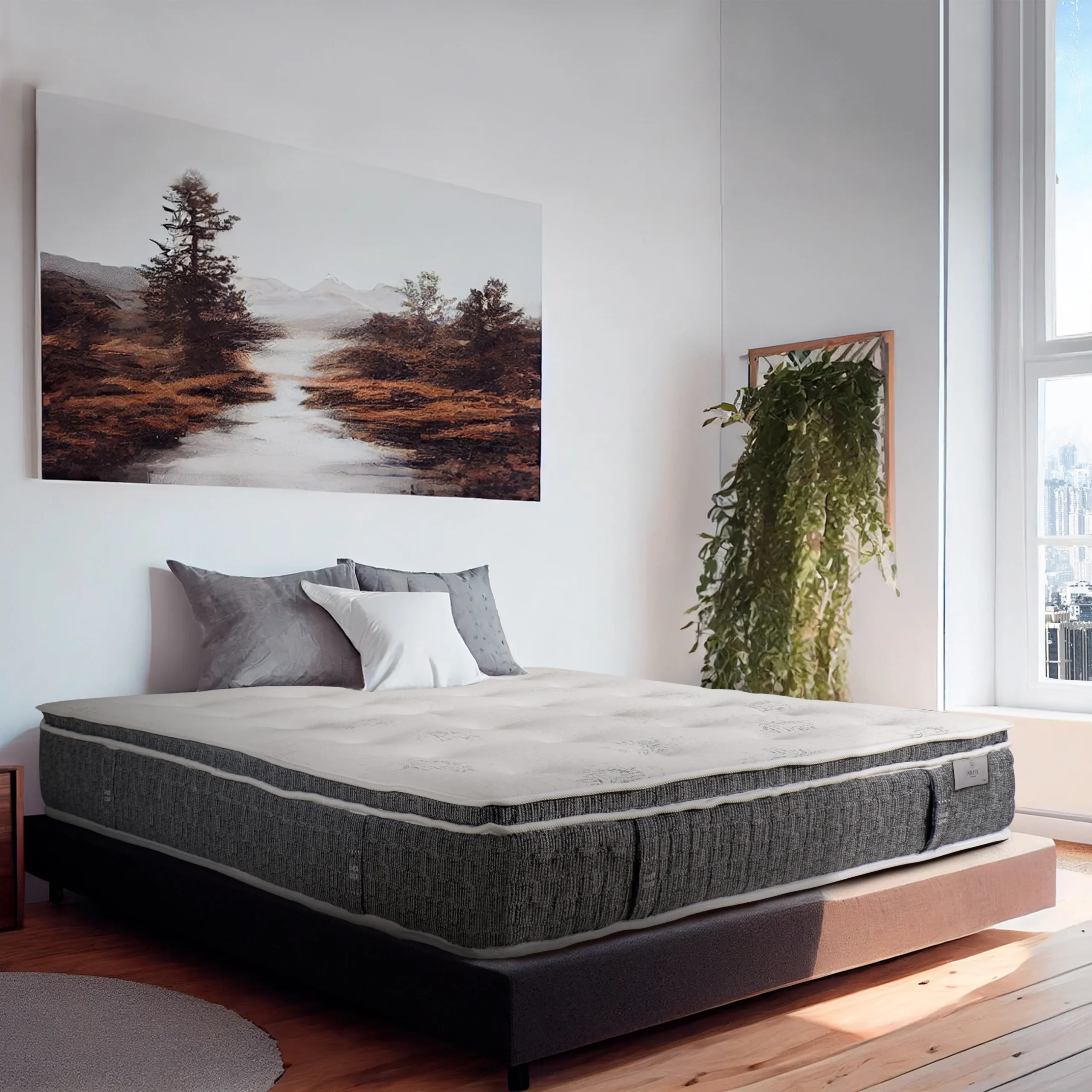 Đệm Lò Xo KingKoil Arise Lux