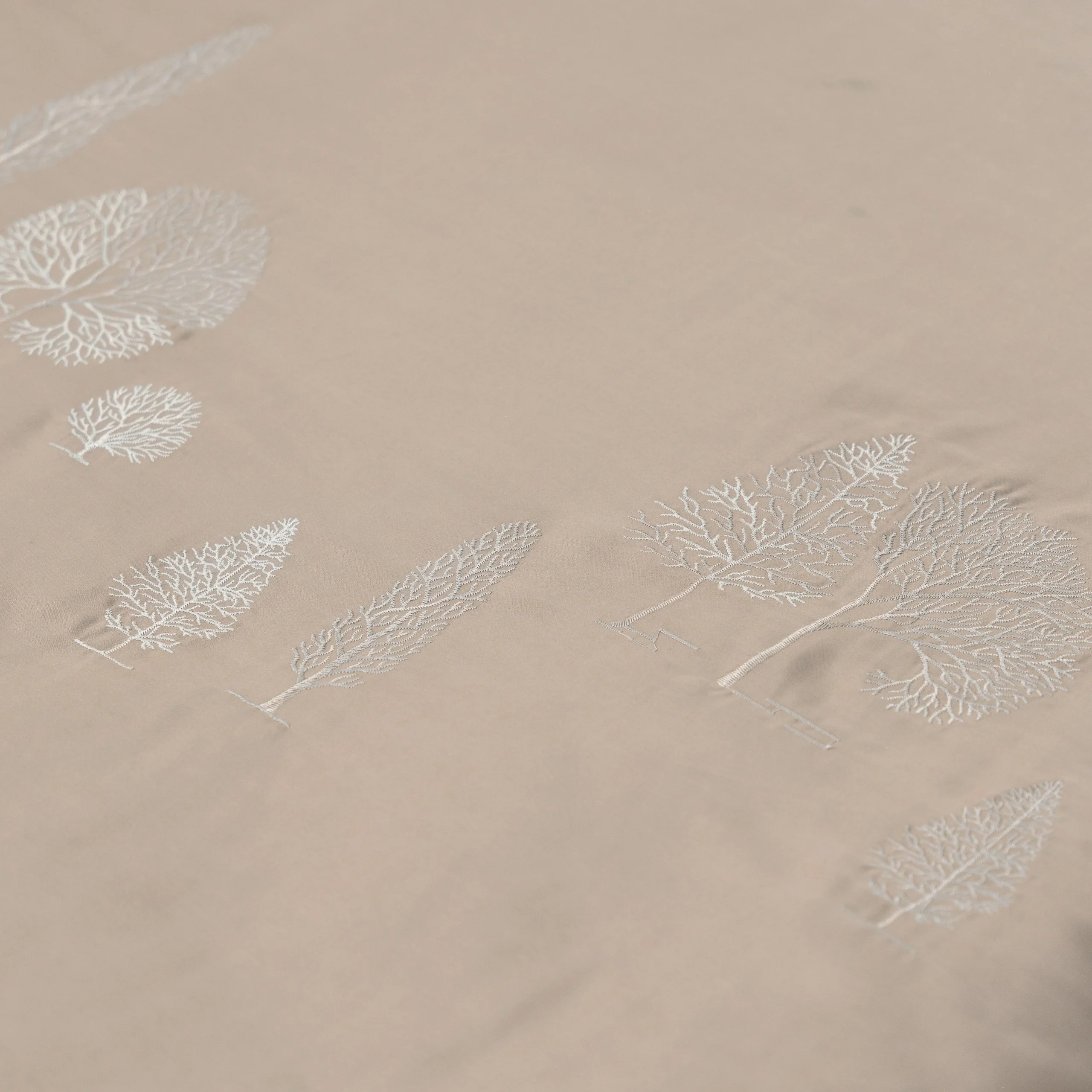 Pine - ESTC27006