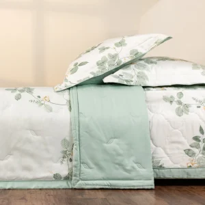 Citrus - EPTMC27022 - Hình ảnh 10