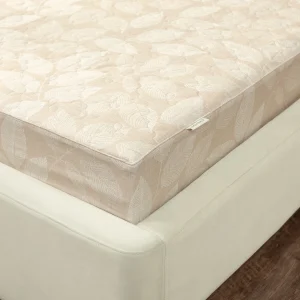 Beech - EPC27027 - Hình ảnh 13