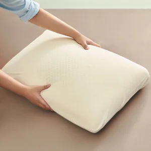 Ruột Gối Lò Xo - Hình ảnh 5